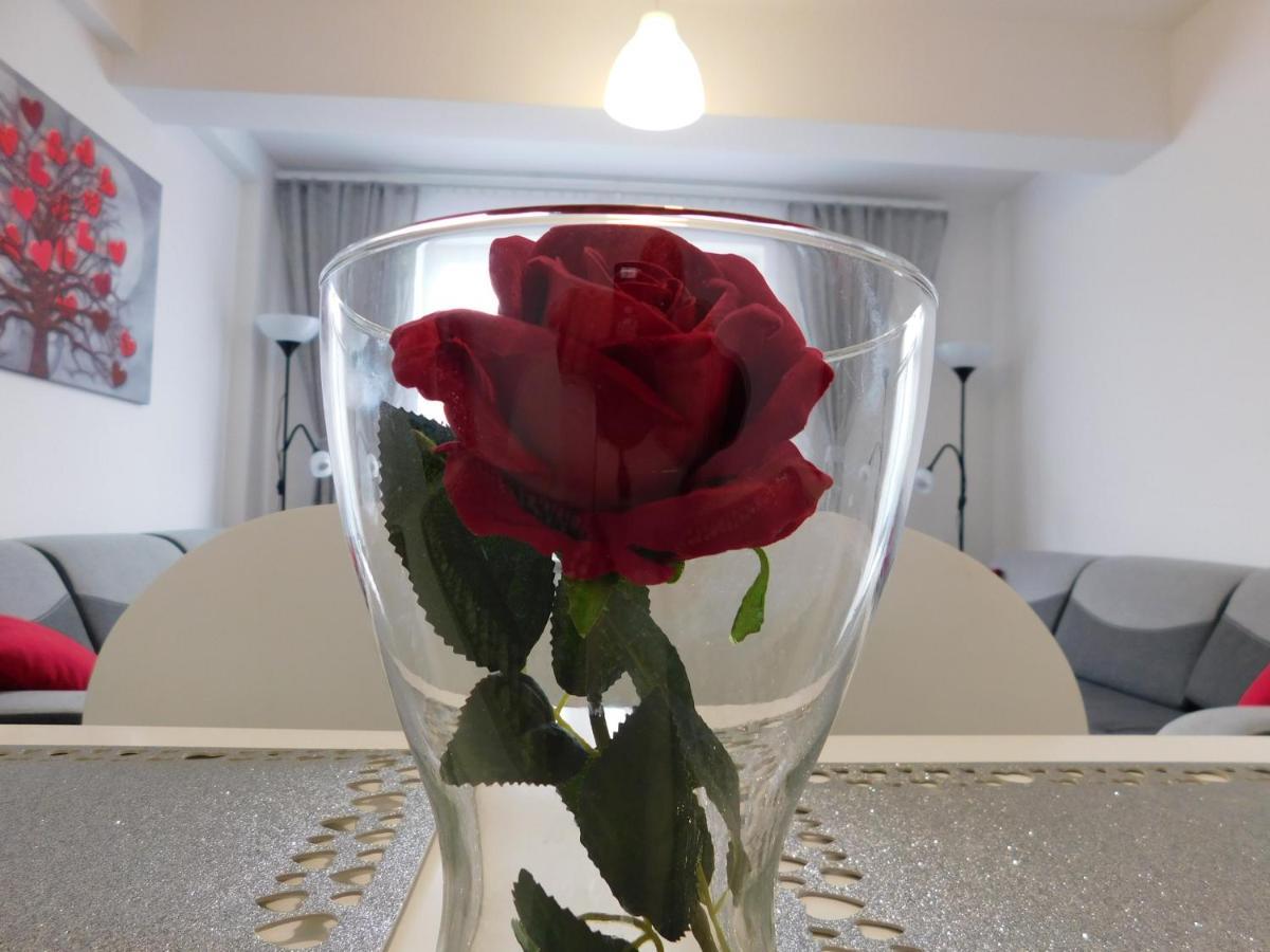 Apartamenty Niko Zator Buitenkant foto